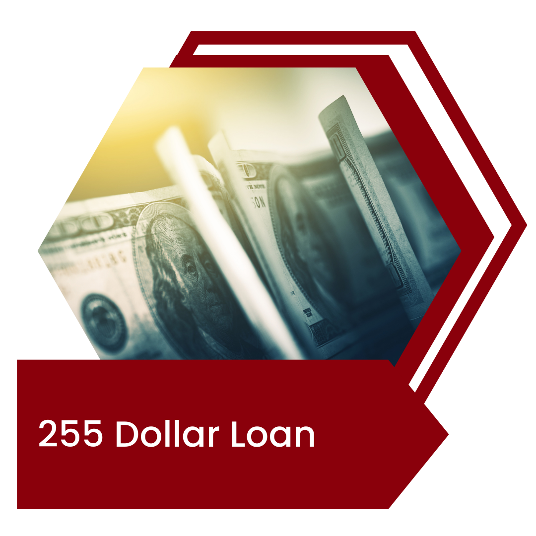 255-dollar-loan.png